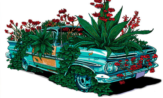 ALABAMA SHAKES tour poster by Tim Doyle!