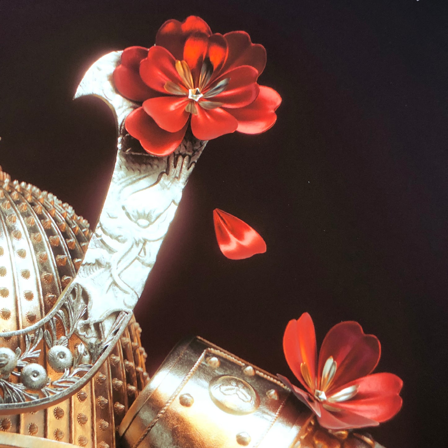 The Book of the Robin