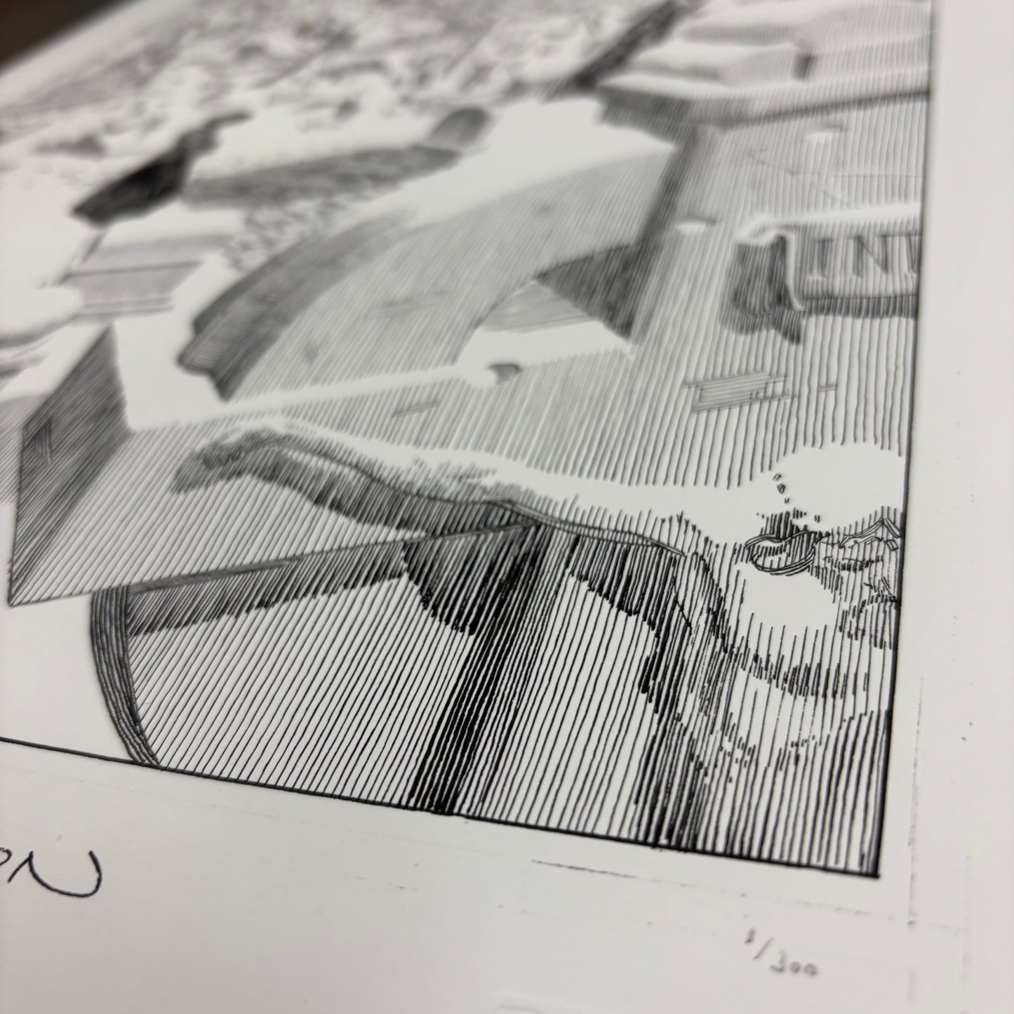 She Died on the First Approach (Artist Edition)
