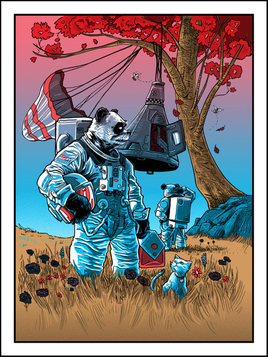 Astro-Pandas in Trouble