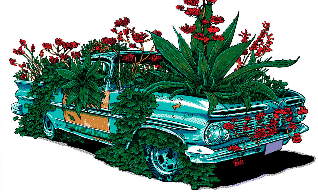 ALABAMA SHAKES tour poster by Tim Doyle!