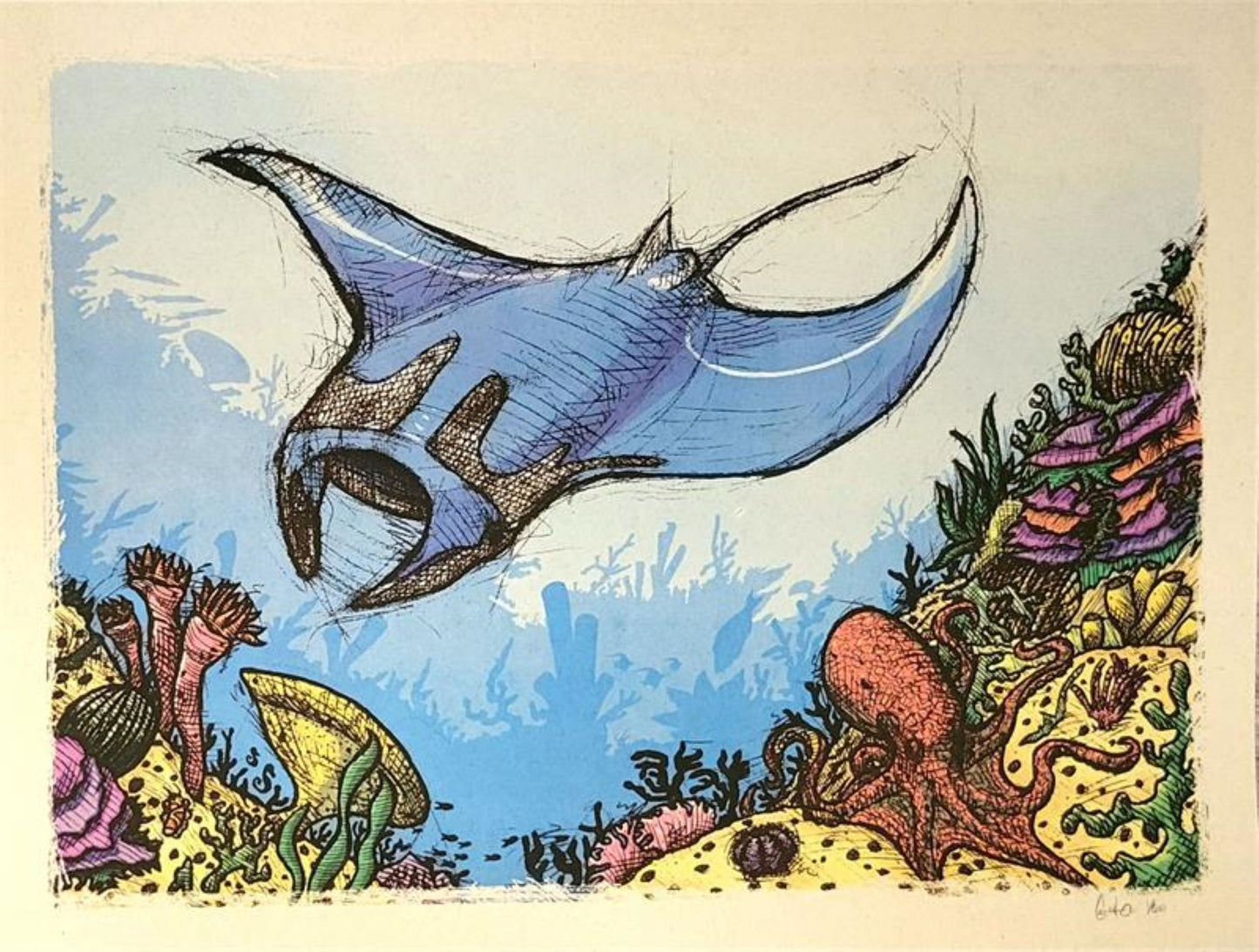 Manta on the Reef