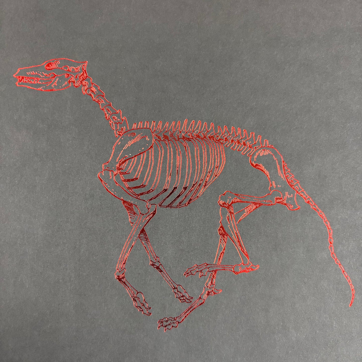 Cycle of the Werewolf Portfolio Set