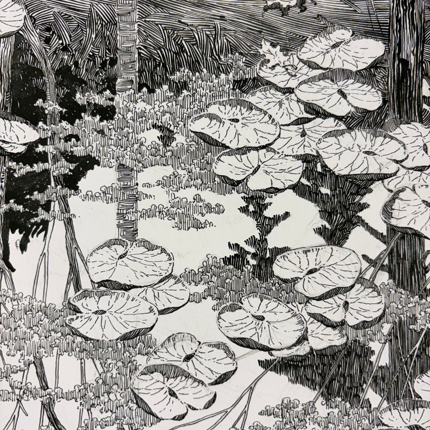 Reflection (Artist Edition)