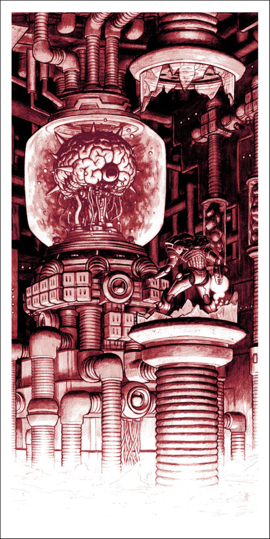 The Brain